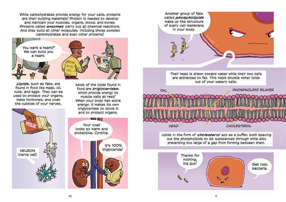Science Comics: The Digestive System