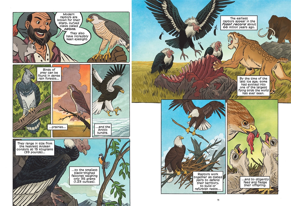 Science Comics: Birds of Prey