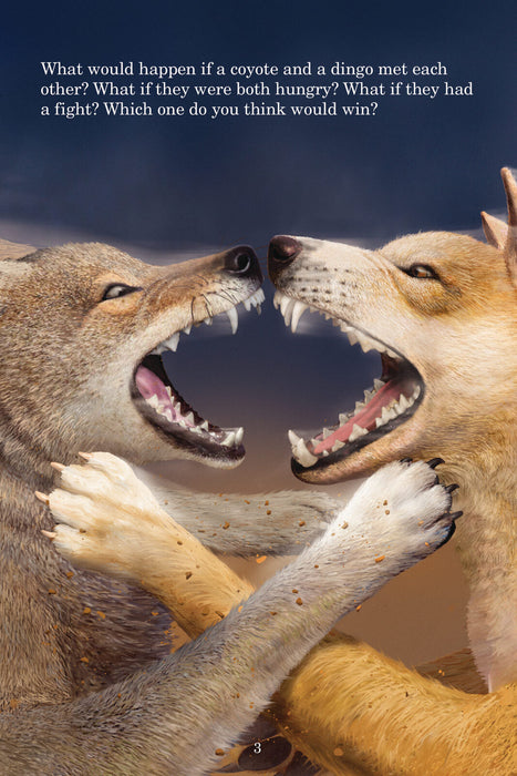 Who Would Win?: Coyote vs. Dingo