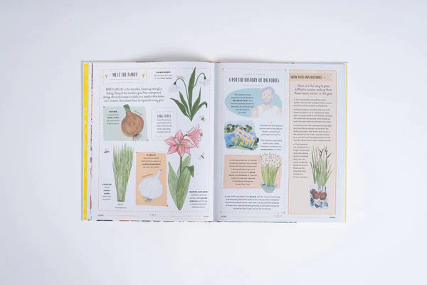 Grow : A first guide to plants and how to grow them