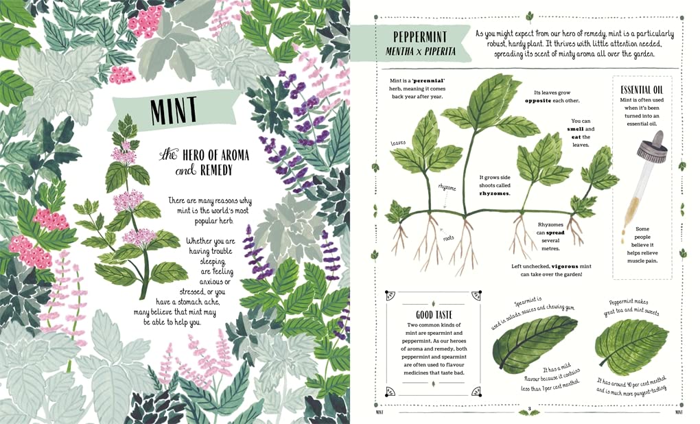 Grow : A first guide to plants and how to grow them