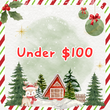Gifts Under $100
