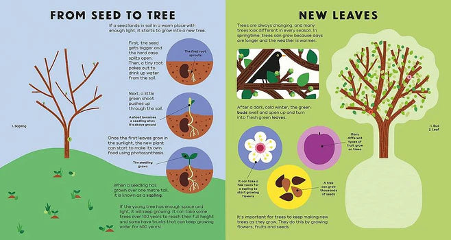 The Body Book, The Earth Book, The Tree Book