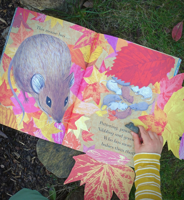 Julia Donaldson 3 Books Gift Set (Animalphabet + Counting Creatures + Colours, Colours Everywhere)