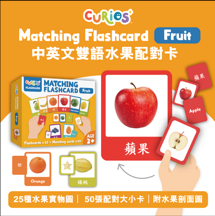 Curios®️中英文雙語水果配對卡Matching Flashcard - Fruit