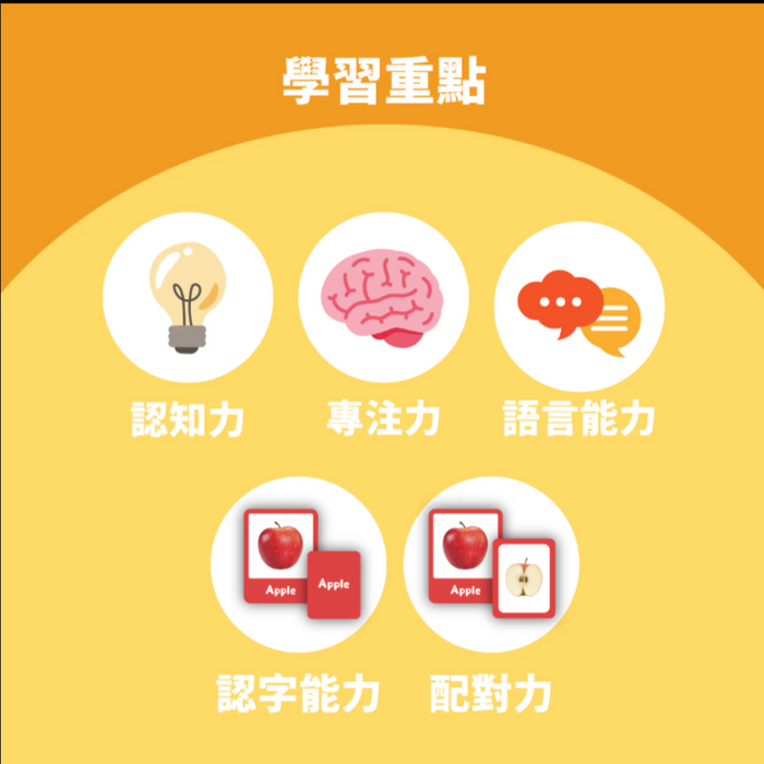Curios®️中英文雙語水果配對卡Matching Flashcard - Fruit