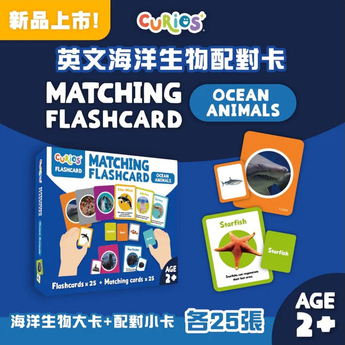 CURIOS® 英文海洋生物配對卡 Matching Flashcard