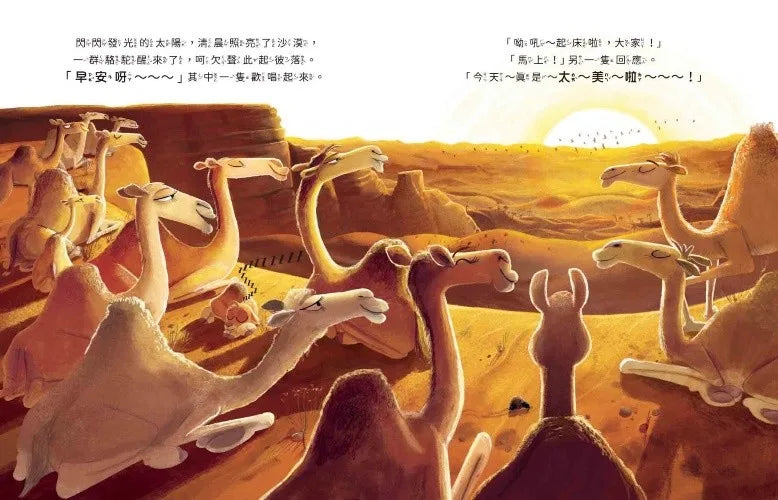 新動物寓言繪本系列套書：有心事的駱駝、做得到的小貓熊、不滿足的鯨魚