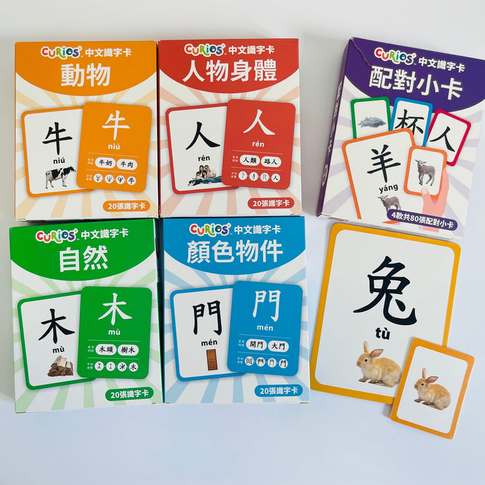 CURIOS® 中文識字卡 Chinese Flashcard