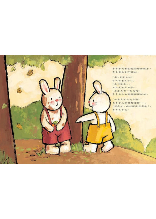 我們一起玩(奇奇兔成長繪本④)