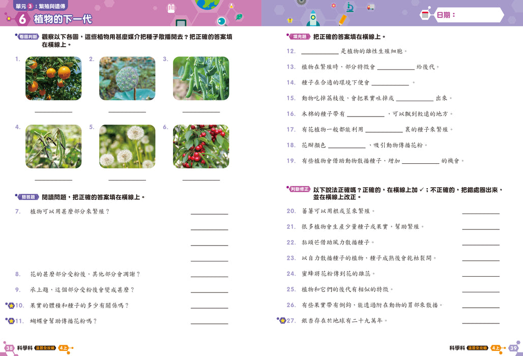 科學科 溫習全攻略：考試前總複習 + 模擬試卷 4上