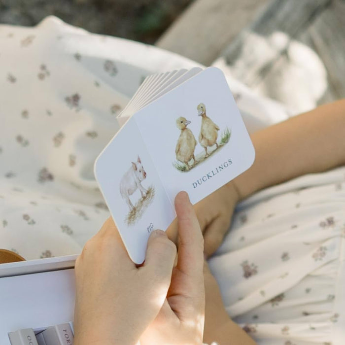 Our Little Library (VOL1): A Foundational Language Vocabulary Board Book Set