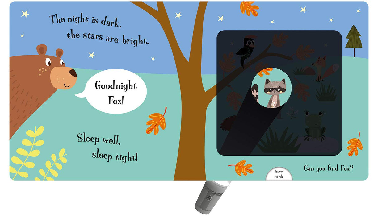 A Magic Touch Book: Goodnight Bear
