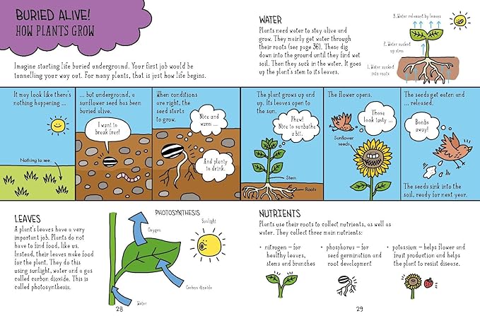 Comic Strip Science: Biology : The science of animals, plants and the human body