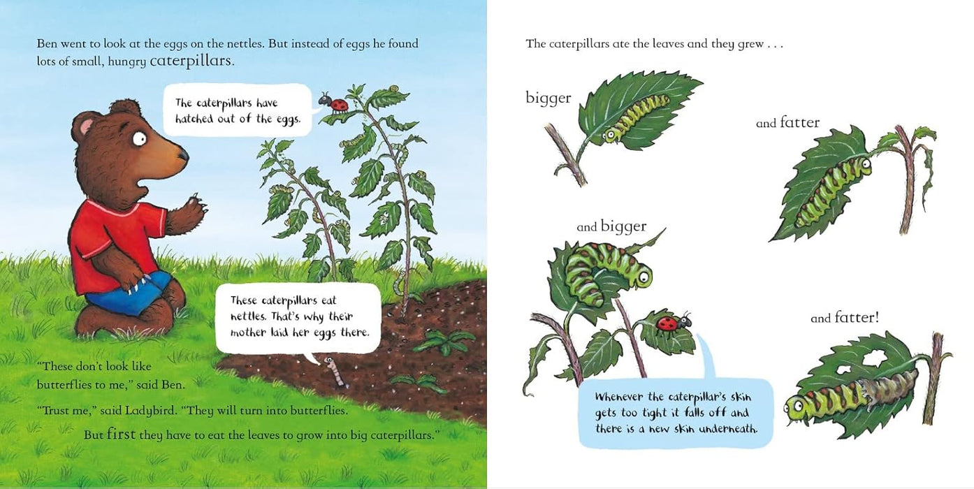 Axel Scheffler's National Trust Planting Books: Butterfly Garden, Radish, Sunflower, Tree