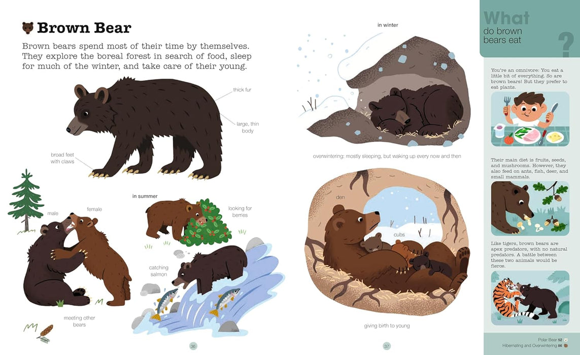 Do You Know?: Polar Animals and Other Cold-Climate Creatures