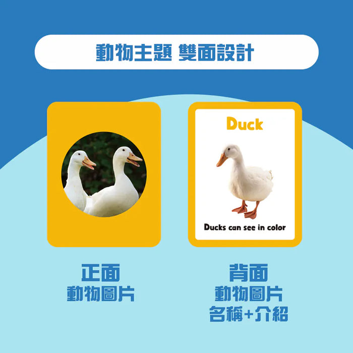 Curios®️英文動物配對卡 - Animals