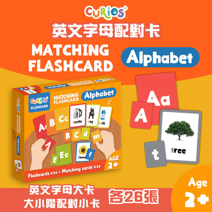 Curios®️英文ABC配對卡 - Alphabet
