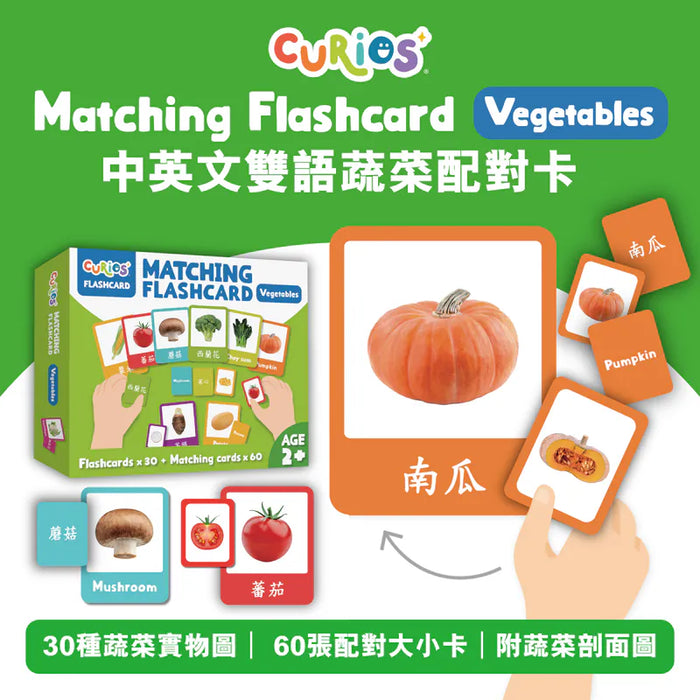 Curios®️中英文雙語蔬菜配對卡 - Vegetables