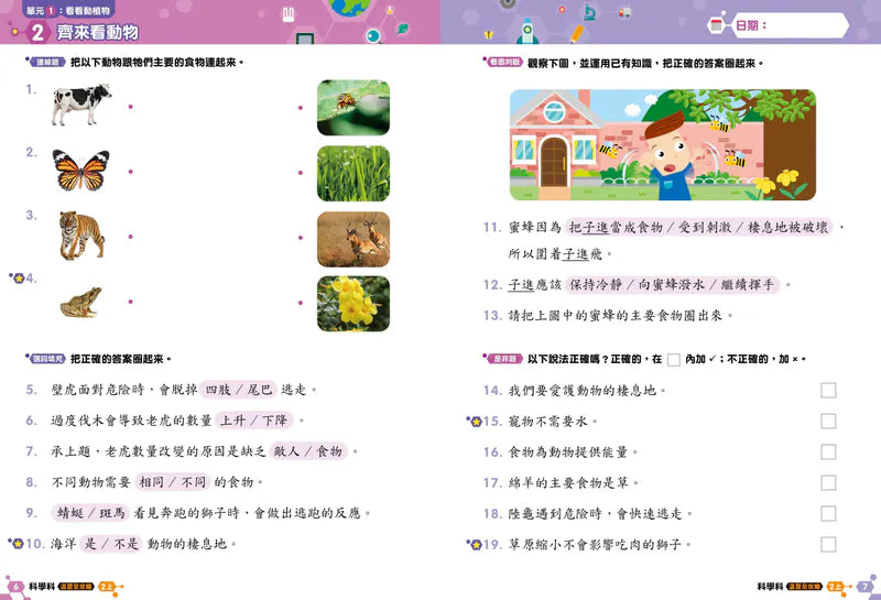 科學科 溫習全攻略： 考試前總複習 + 模擬試卷 2上