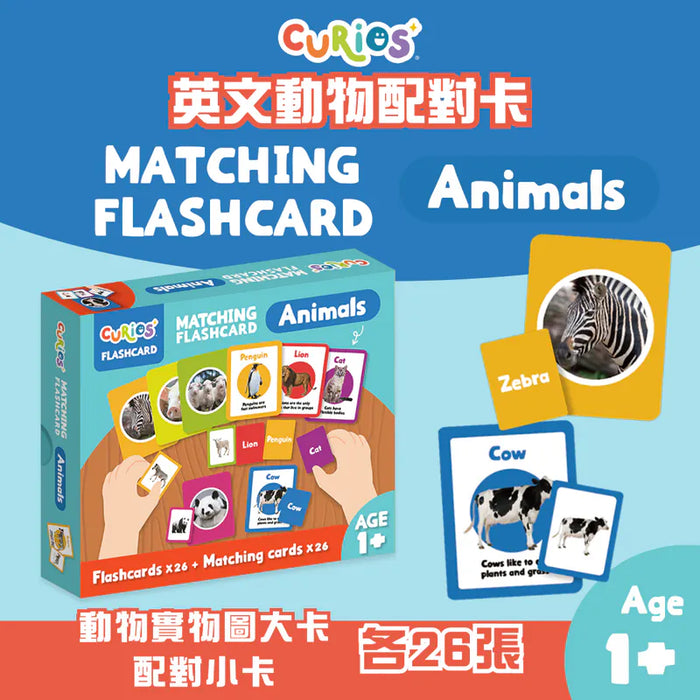 Curios®️英文動物配對卡 - Animals