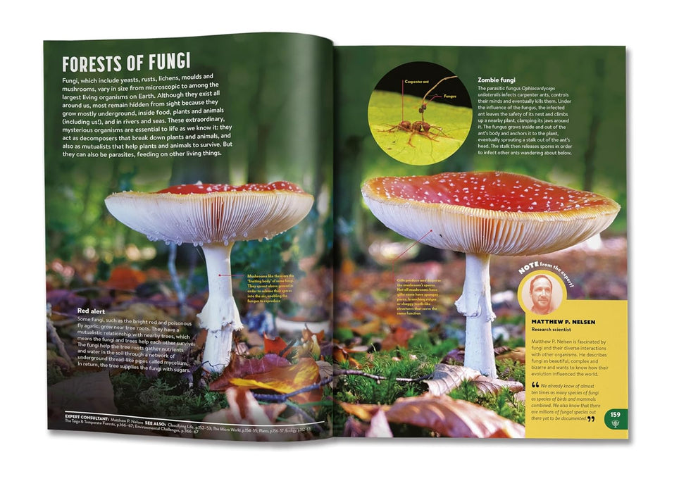 Britannica All New Children’s Encyclopedia