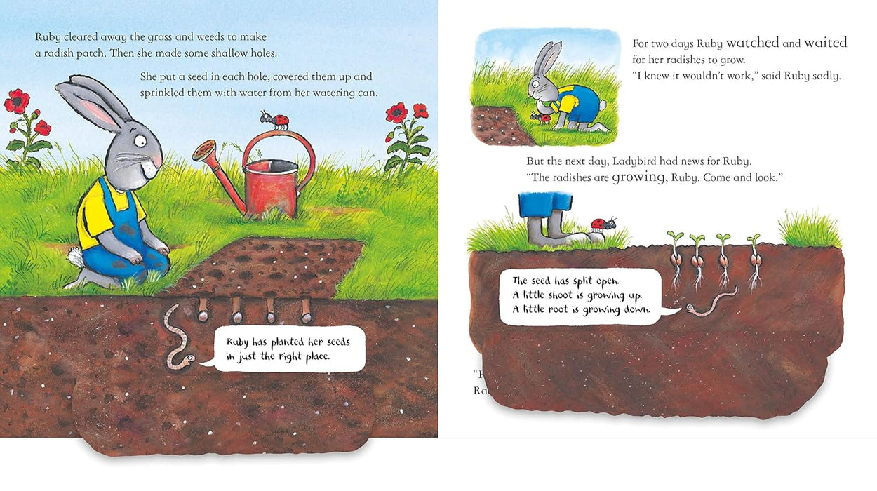 Axel Scheffler's National Trust Planting Books: Butterfly Garden, Radish, Sunflower, Tree