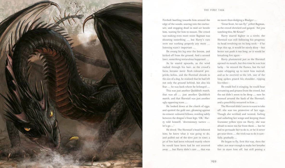 Harry Potter and the Goblet of Fire : Illustrated Edition