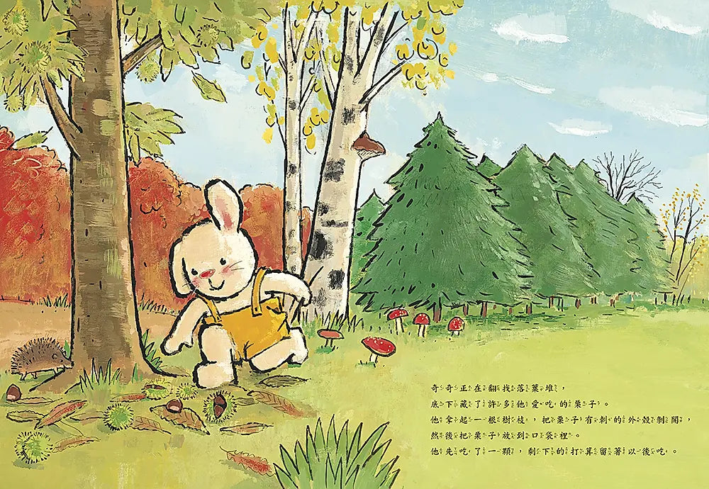 我學會說再見(奇奇兔成長繪本⑥)