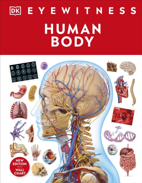 Human Body — Seeds Children's Bookstore