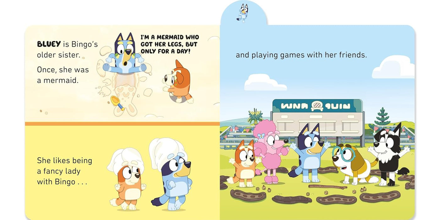 Bluey: Meet Bluey's Family