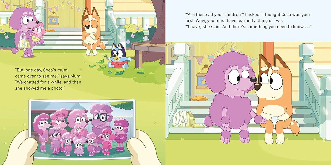 Bluey Big Fun: Box of Books Collection