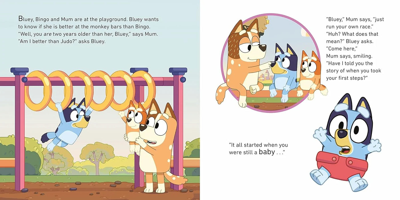 Bluey Big Fun: Box of Books Collection