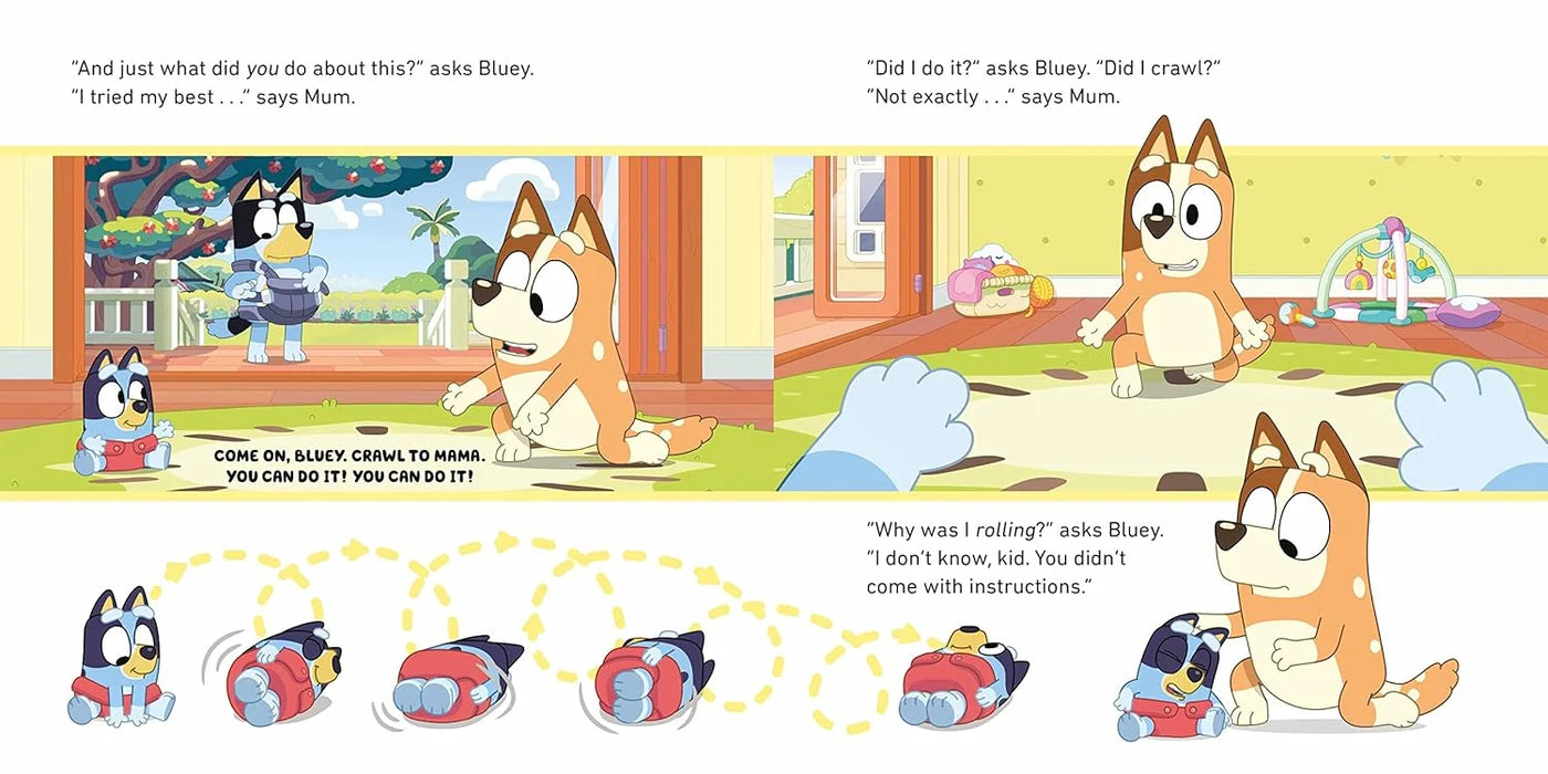 Bluey Big Fun: Box of Books Collection