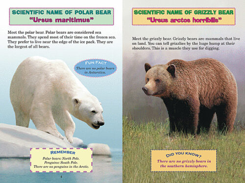 Who Would Win?: Polar Bear vs. Grizzly Bear