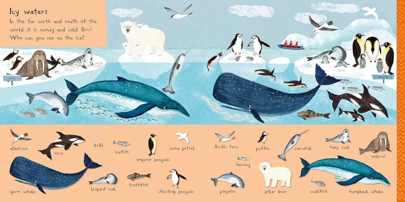 There Are 101 Sea Creatures in This Book : A Search and Find Book for Children