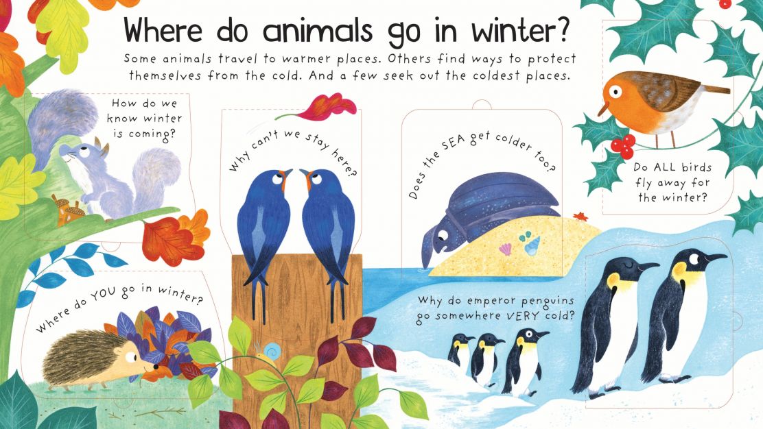 Lift-the-Flap First Questions and Answers: Where do animals go in winter?