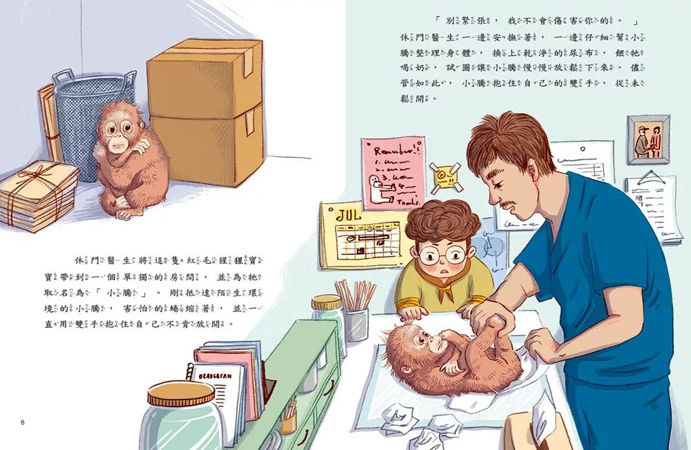 愛的故事．知識繪本14：紅毛猩猩去上學