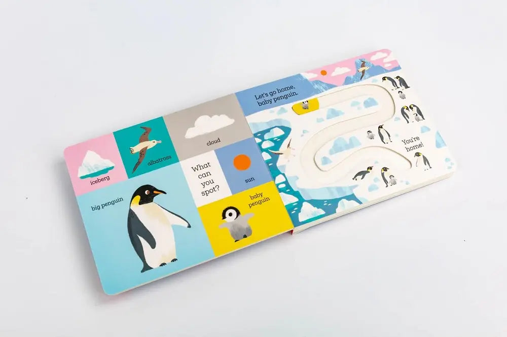 Let's Go Home, Baby Penguin