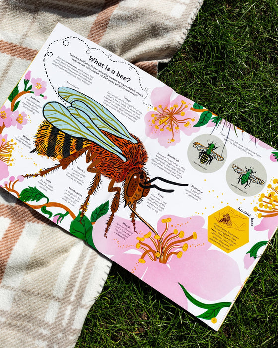 Think Big: Secrets of Bees
