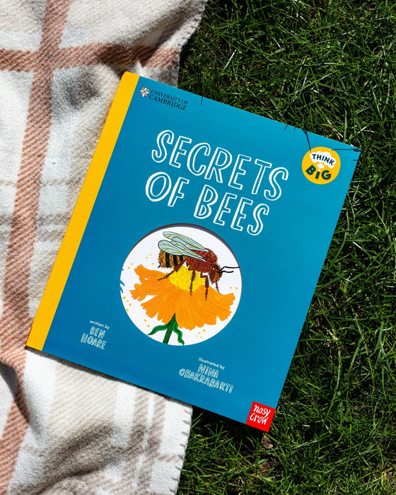 Think Big: Secrets of Bees