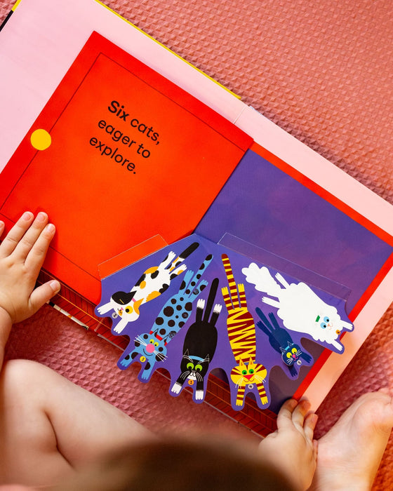 One Cat, Two Cats: A lift-the-flap, pop-up book with 20 cats to count!