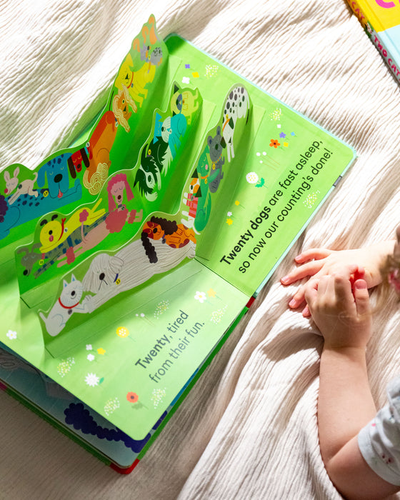 One Dog, Two Dogs: A lift-the-flap, pop-up book with 20 dogs to count!
