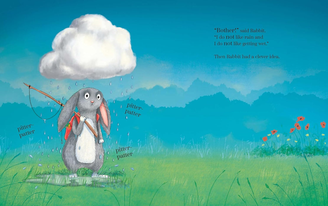 The Rabbit, the Cloud and the Rainy Day