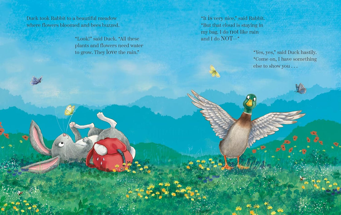 The Rabbit, the Cloud and the Rainy Day