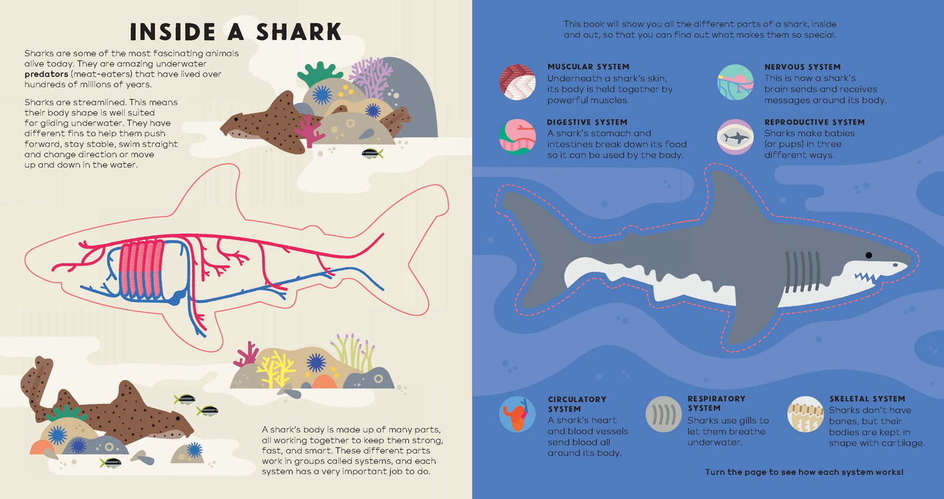 The Shark Book