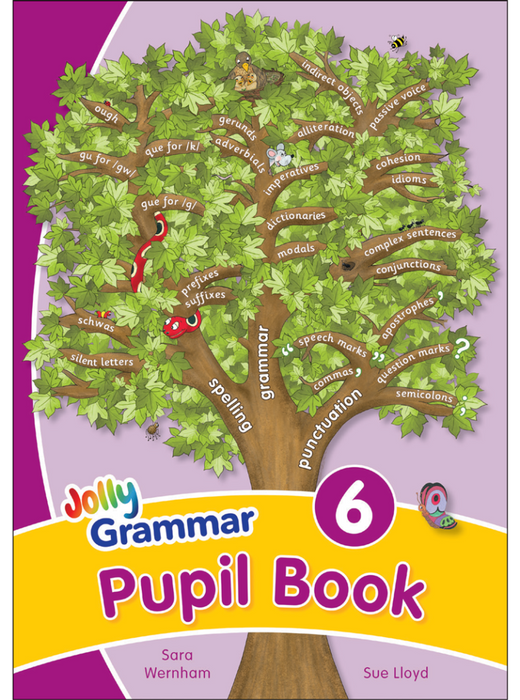 Jolly Phonics Grammar 6 Pupil Book [JL131]