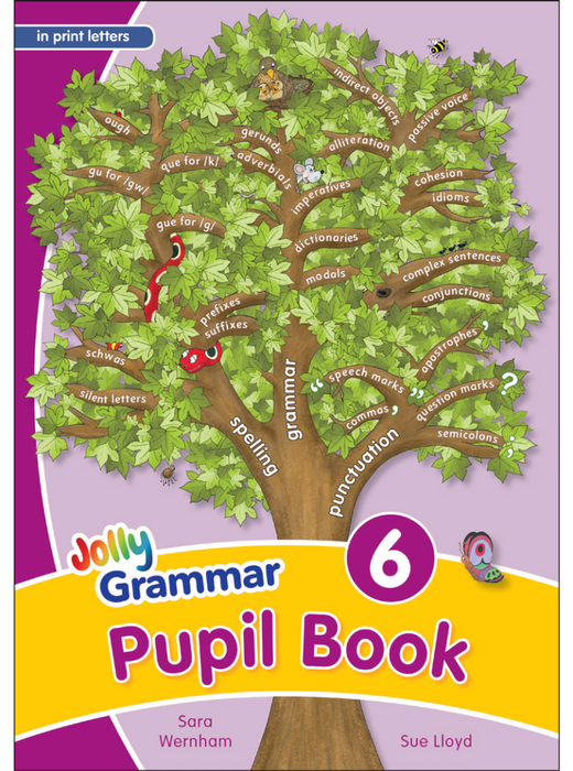 Jolly Phonics Grammar 6 Pupil Book (in print letters) [JL158]