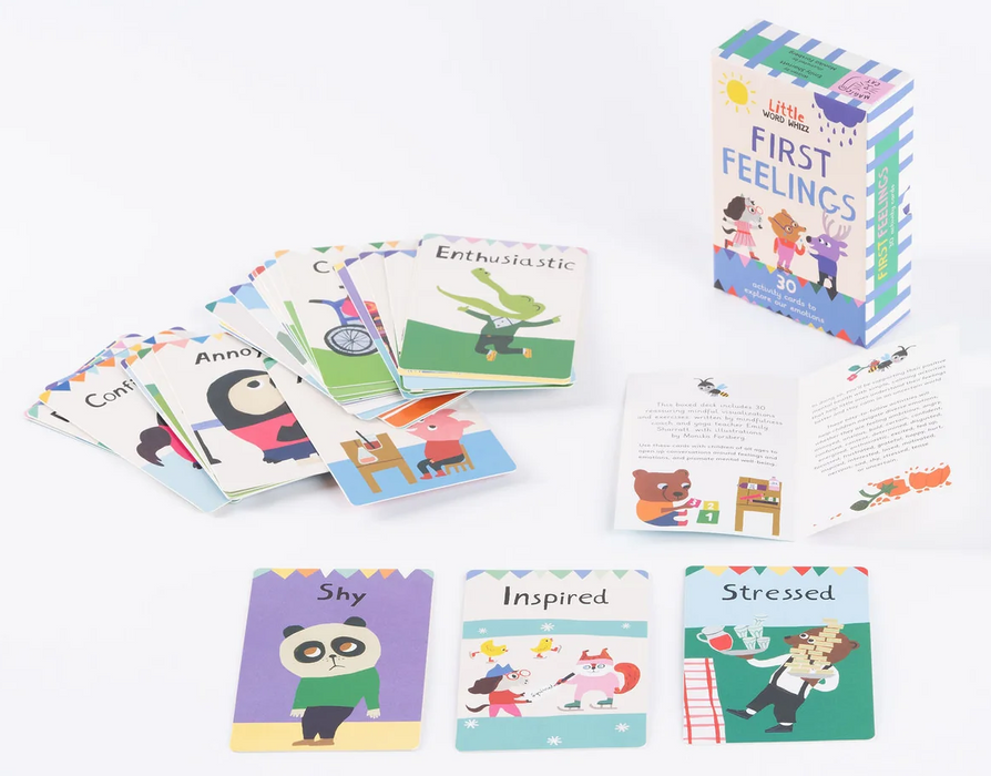 Little Word Whizz: First Feeling Flashcards