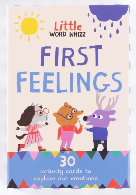 Little Word Whizz: First Feeling Flashcards